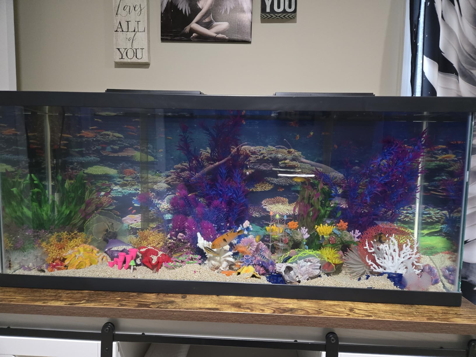 Tetra Complete 55 Gallon Fish Tank Kit for Freshwater & Saltwater Fish customer photo 1