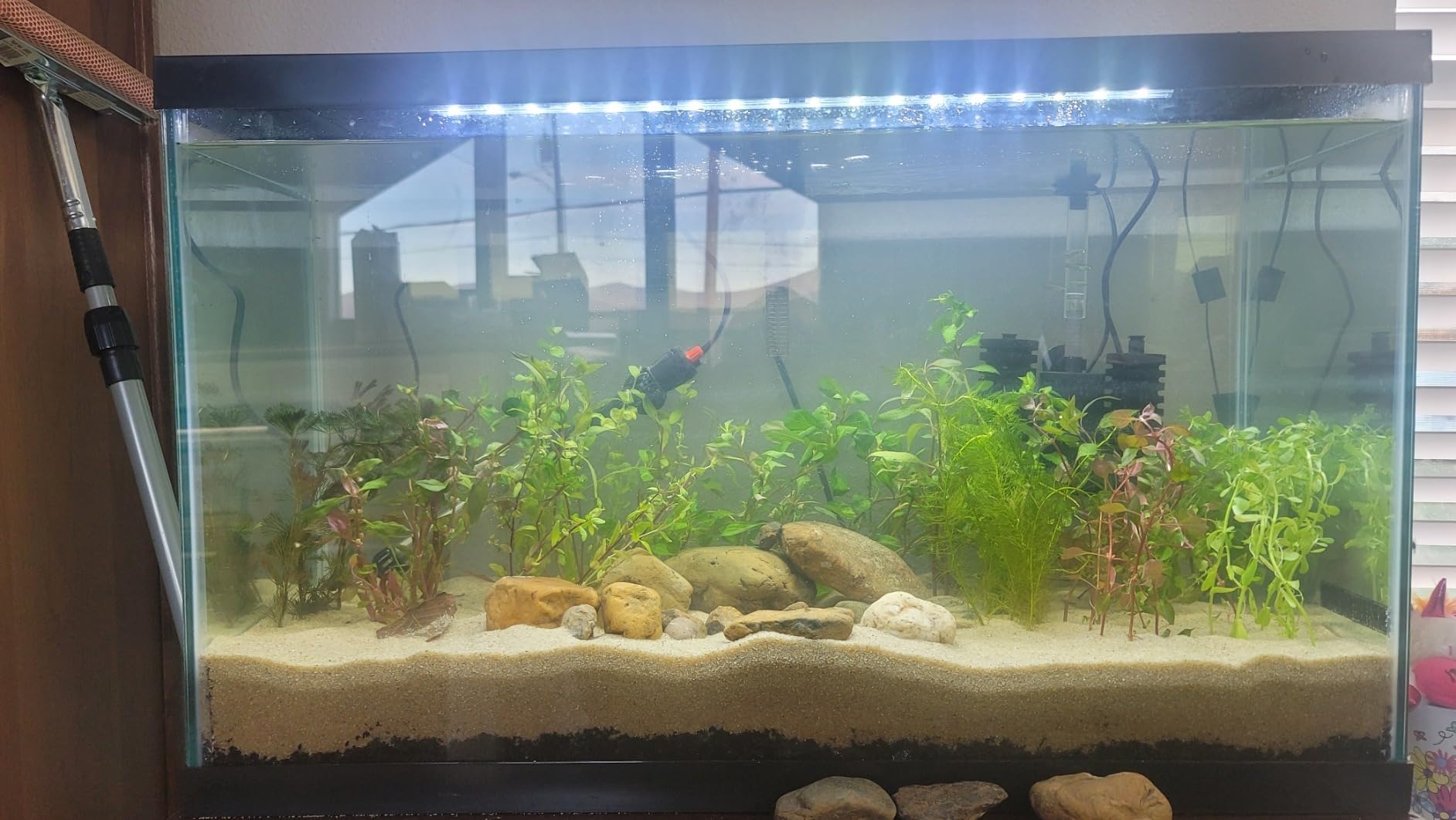 Tetra Complete 55 Gallon Fish Tank Kit for Freshwater & Saltwater Fish customer photo 2