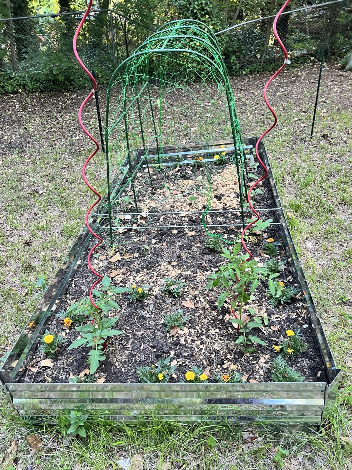 2-Pack Galvanized Raised Garden Bed 8x4x1ft customer photo 1