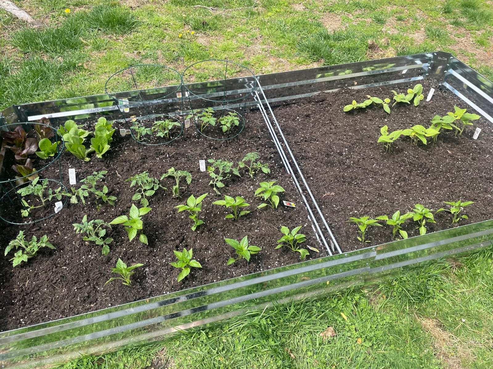 2-Pack Galvanized Raised Garden Bed 8x4x1ft customer photo 2