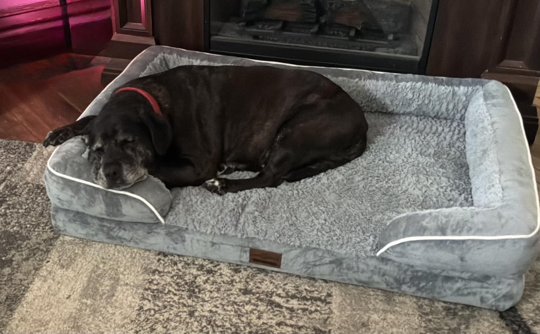 Comfort Expression Waterproof Orthopedic Dog Bed for Extra Large Dogs customer photo 1
