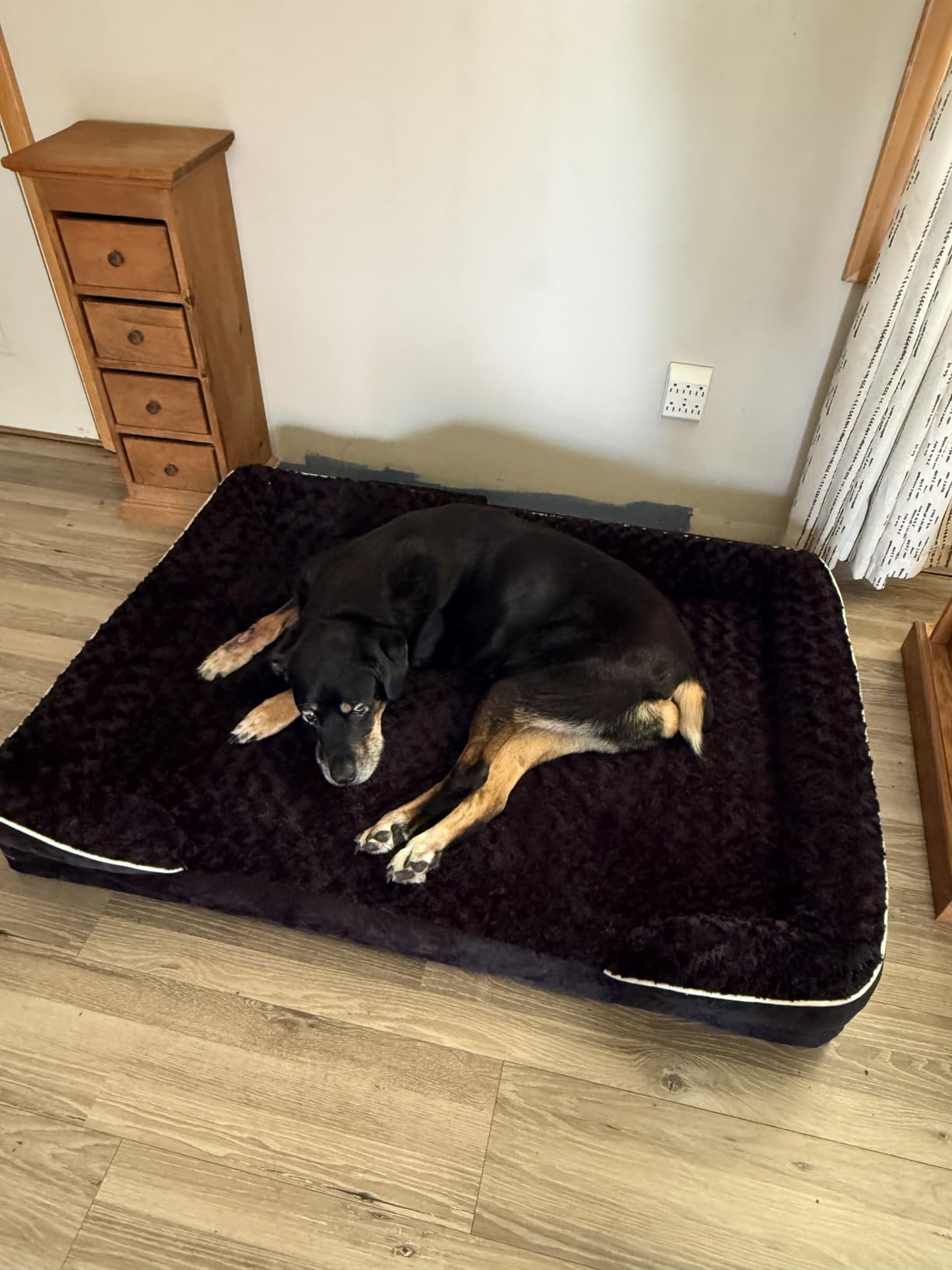 WNPETHOME Orthopedic Washable Dog Bed Large for Senior Dog Cozy Sleep customer photo 1