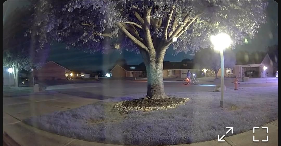 Ring Indoor Cam (newest model) — Home or business security in 1080p HD video, White customer photo 1