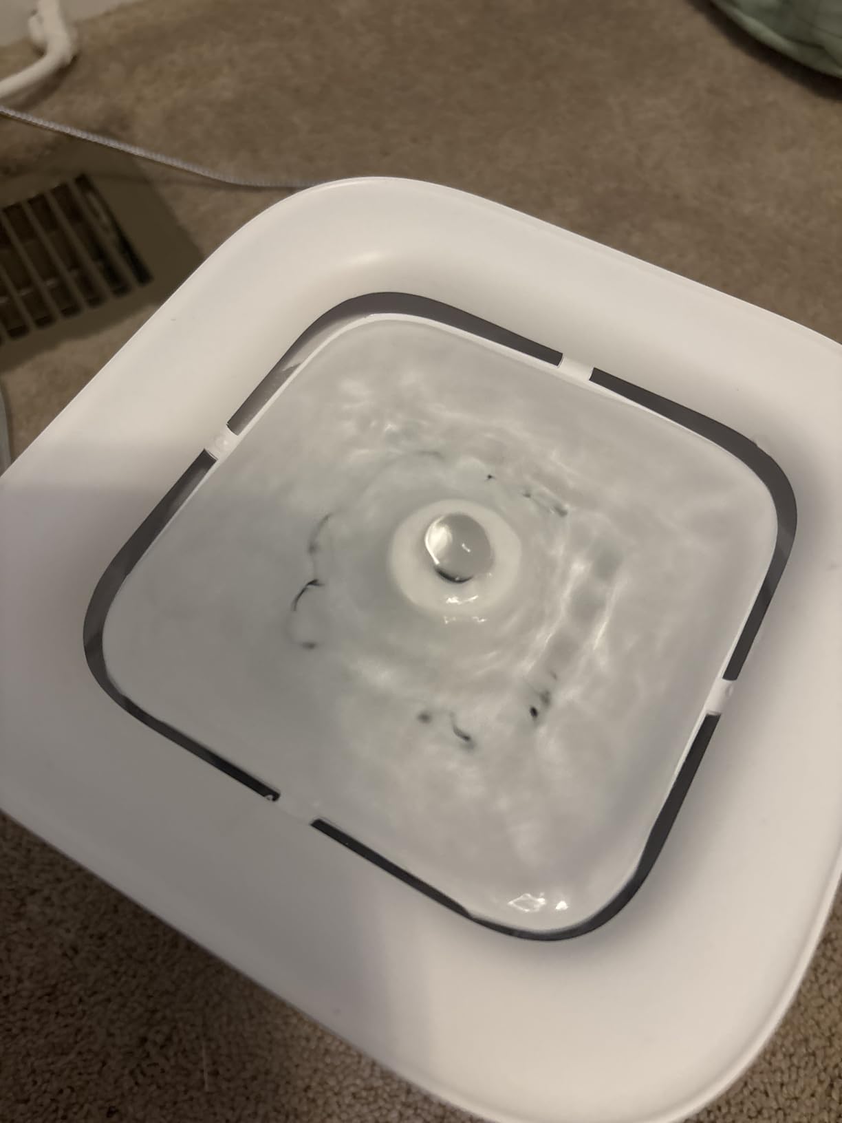 PETKIT Eversweet Solo SE Cat Water Fountain 65oz/1.85L Wireless Pump customer photo 1