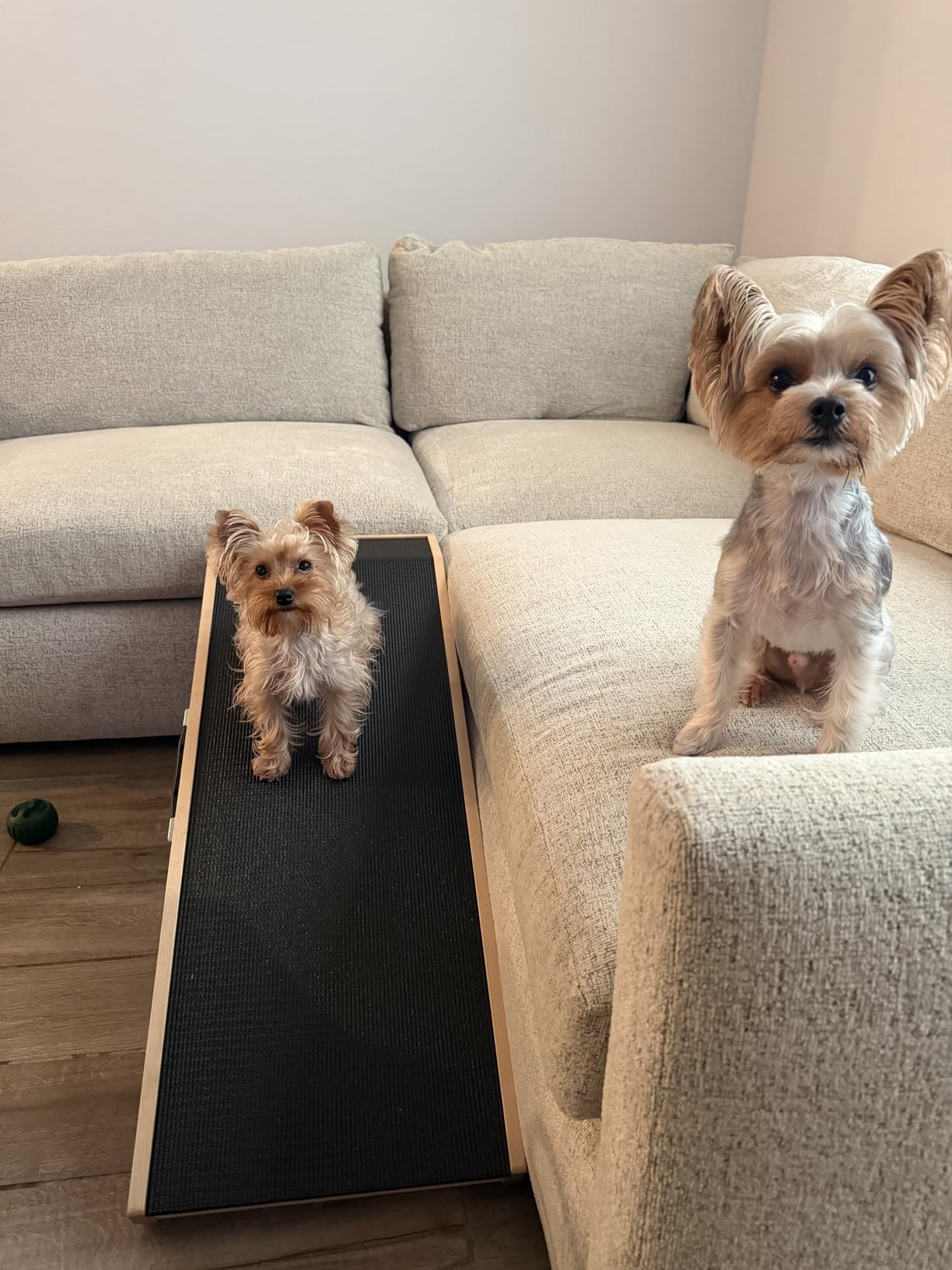 Dog Ramp for Couch – Non-Slip, Sturdy Build Foldable Wooden Dog Ramp – Supports up to 200 lbs – 7 Adjustable Heights (14