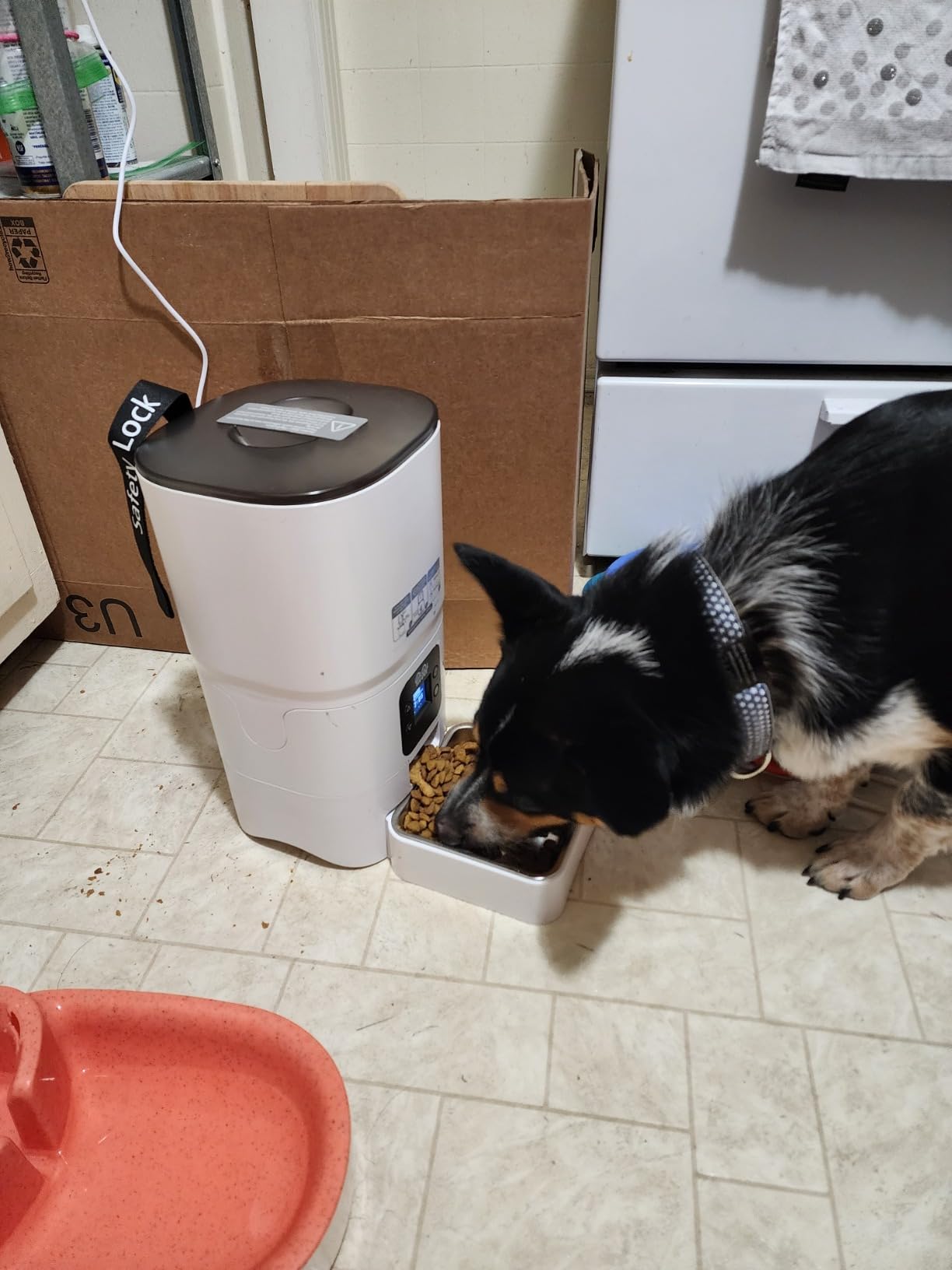 Smart Automatic Cat Feeder - 6-L Reliable Automatic Cat Food Dispenser with Display LCD Screen for Easy Set Up - (White) customer photo 1