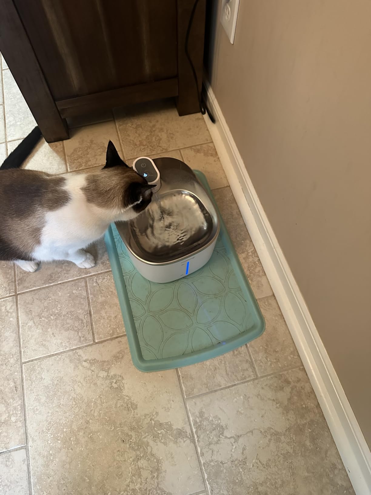 Wireless Cat Water Fountain with Sensor, 4000mAh Battery Operated, FEELNEEDY 4L/135 fl oz Pet Water Fountain for Cats and Dogs, Ultra Quiet Cat Drinking Fountain with 2 Filters (White YPD-C004P) customer photo 2