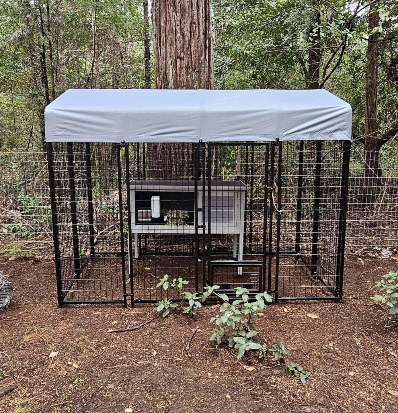 LEMBERI 8x4x6FT Outdoor Dog Kennel for Large Dogs, Heavy Duty customer photo 1