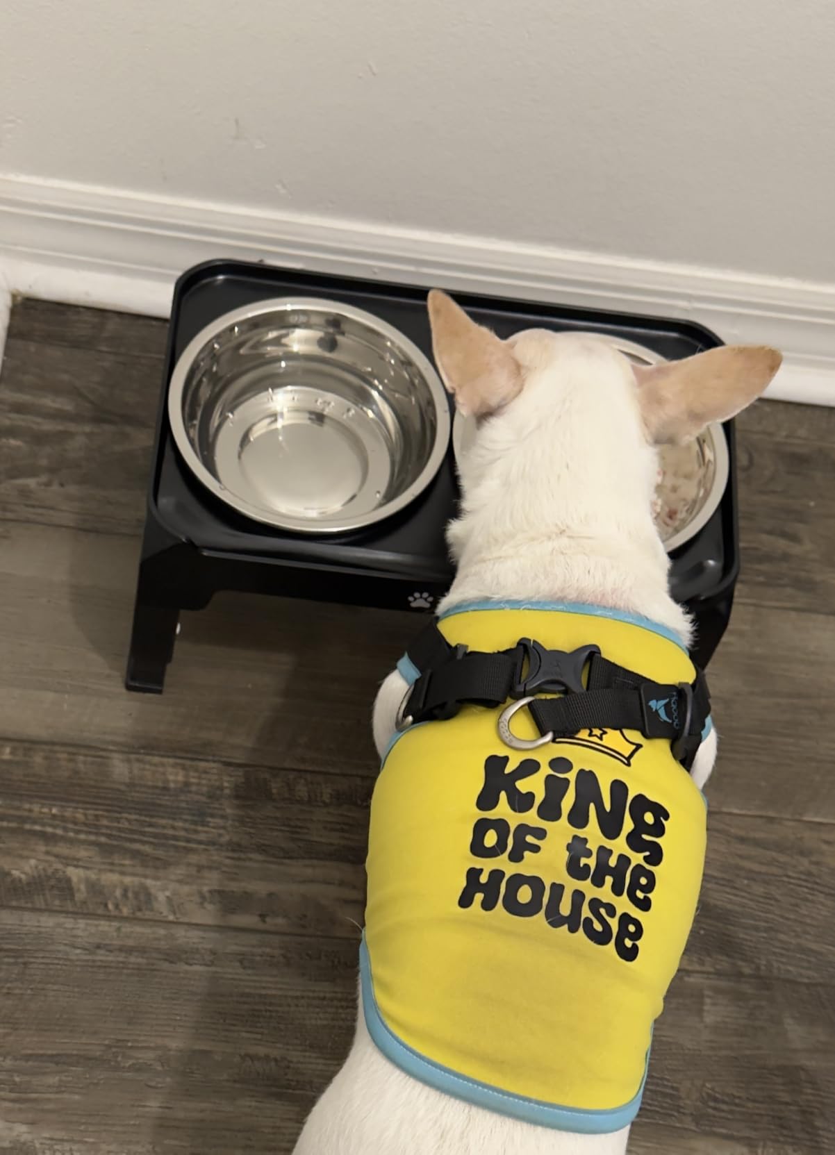COMESOON Elevated Dog Bowls, 4 Height Adjustable Raised Bowl Stand with 2 Thick 50oz Stainless Steel Food Bowls Non-Slip Feeder Adjusts to 3.7'', 9.2'', 10.75'', 12.36'' Black, (DB-W01) customer photo 1