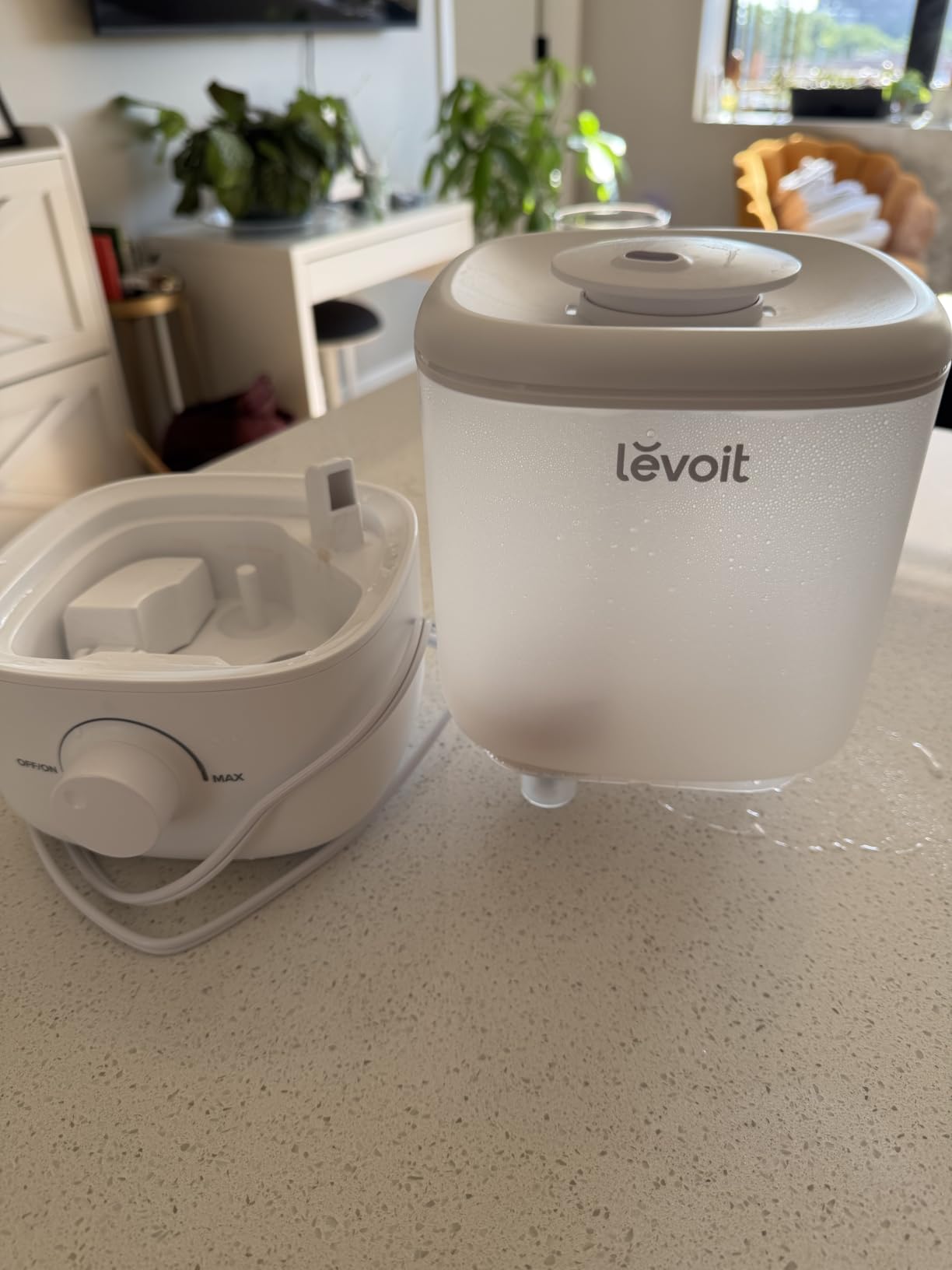 Levoit Top Fill Humidifiers for Bedroom, 2.5L Tank for Large Room, 25dB customer photo 1