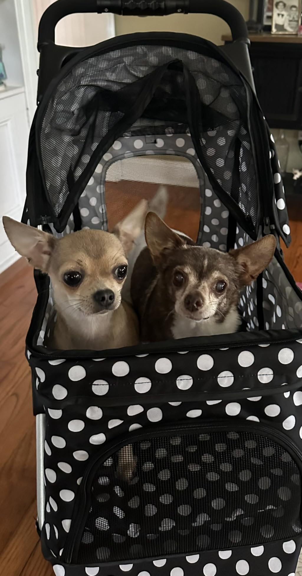 MoNiBloom Pet Stroller for Small/Medium Dogs and Cats up to 33 lbs, Black customer photo 1