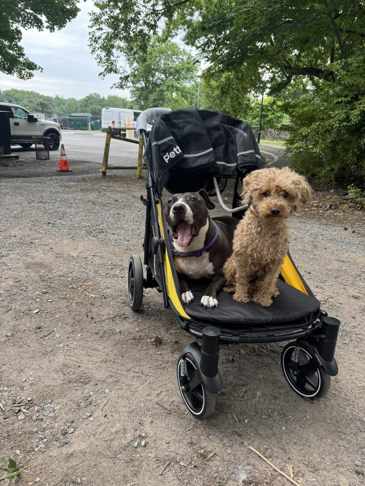 Petbobi Dog Stroller for Large Medium Dogs up to 80 lbs, Dual Entry customer photo 1
