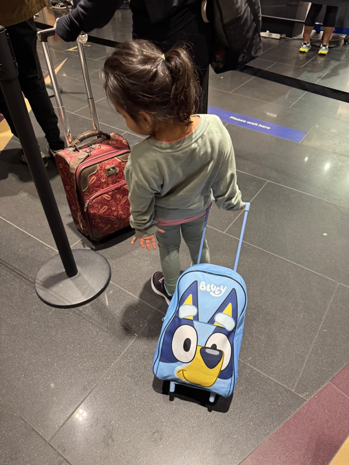 Bluey Kids Rolling Suitcase, 16 x 13 x 4 inches, Luggage for Girls and Boys, Travel Bag with Extendable Handle and Wheels, Gifts for Kids customer photo 2