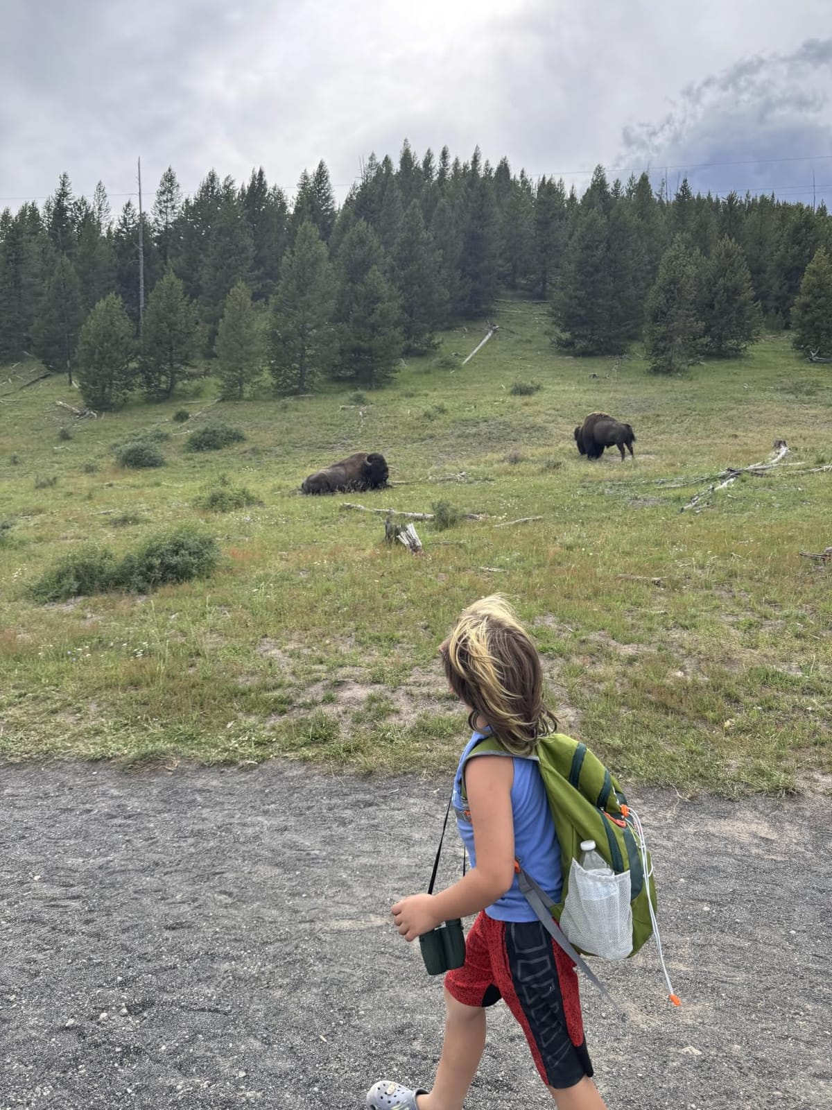 IVYGREEN Small Kids Hiking Backpack for Camping or Short Trip,Army green,S customer photo 1
