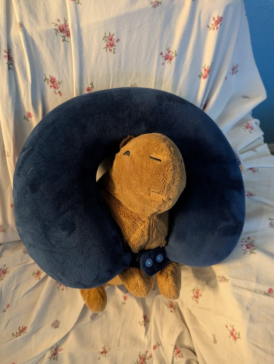 SAIREIDER Travel Pillow 100% Pure Memory Foam Travel Neck Pillow, Airplane Pillow for Traveling、Car、Home、Office,Washable Cover(Black) customer photo 2