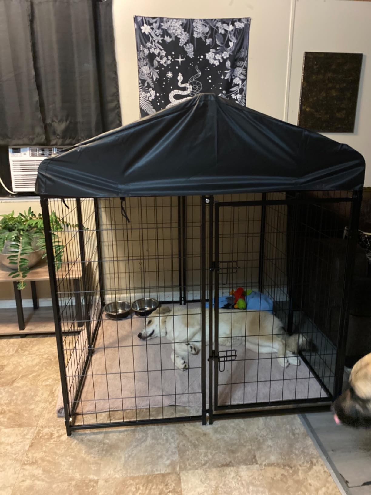 Dog Kennel Outside with Roof, 8'x6'x4' Outdoor Dog Kennel customer photo 2