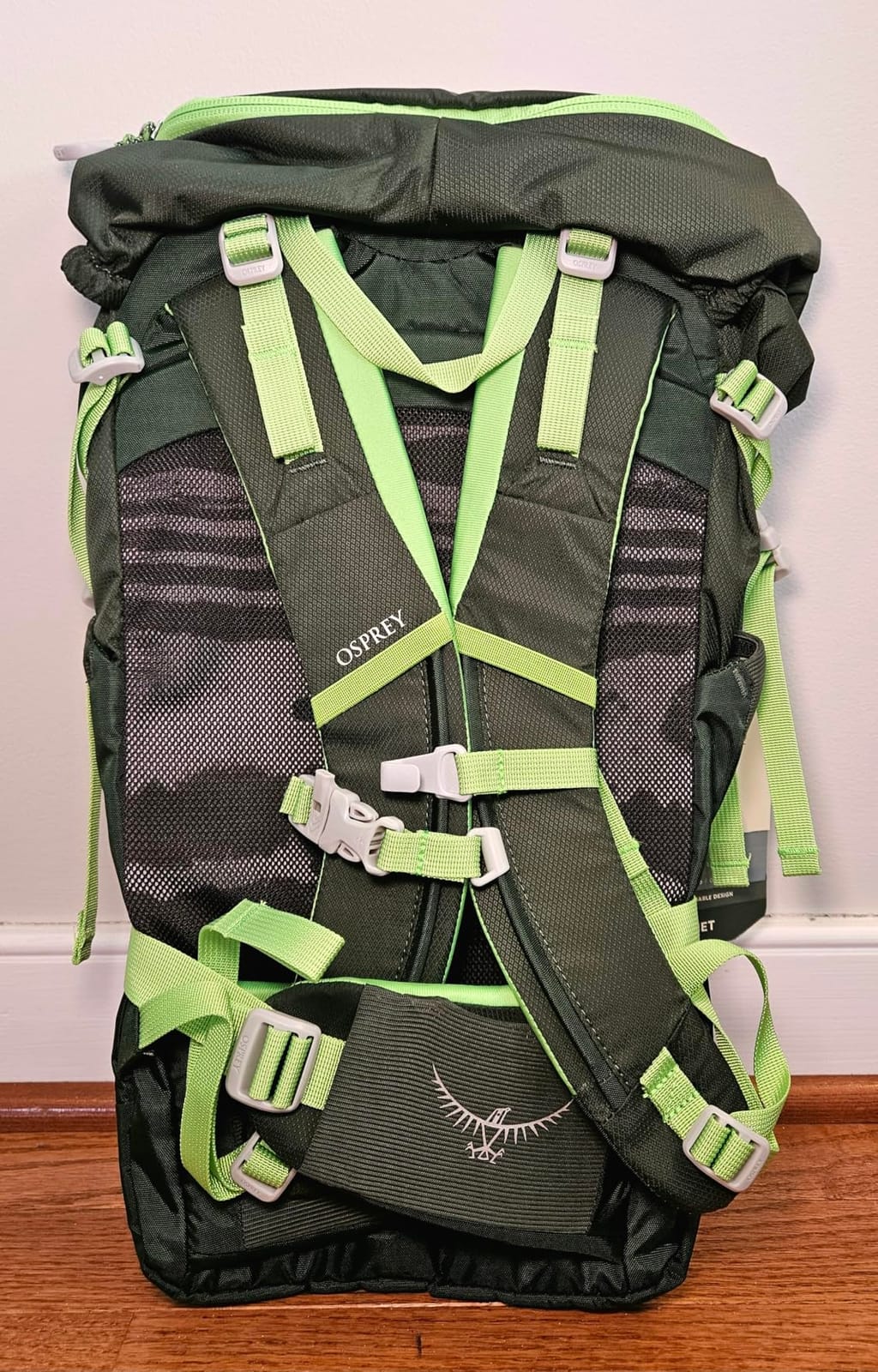 Osprey Jet 18L Kid's Hiking Backpack, Green OS customer photo 2