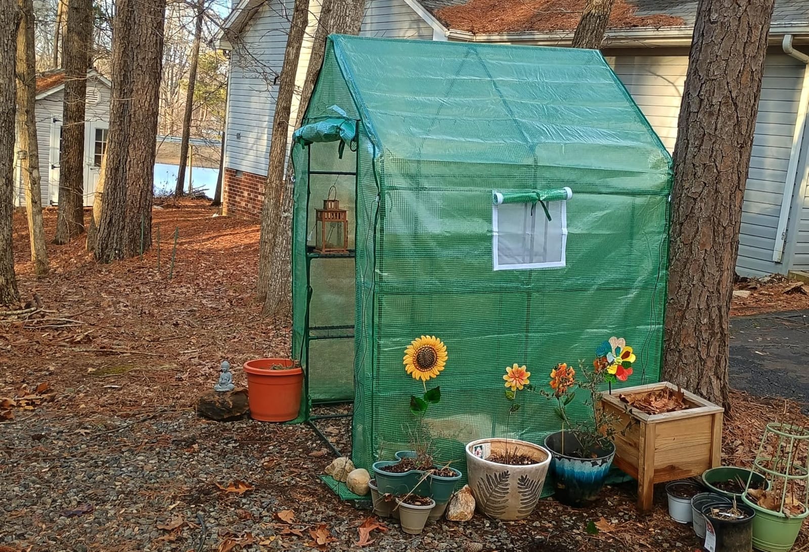 SPECILITE 56×56×78Inch Walk-in Greenhouse for Outdoors Garden Plant, Green customer photo 2
