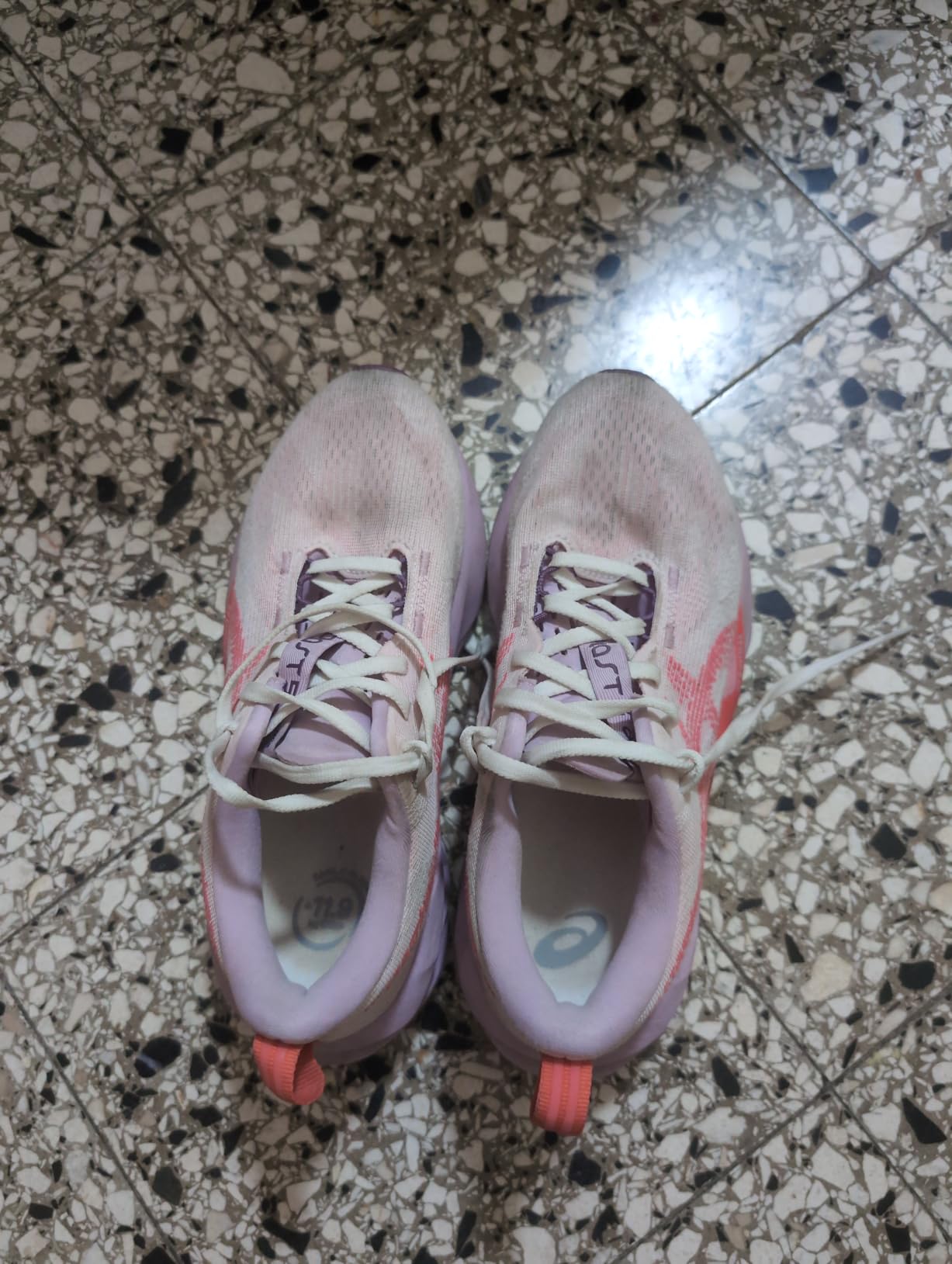 ASICS Women's NOVABLAST 5 TR Running Shoes customer photo 1
