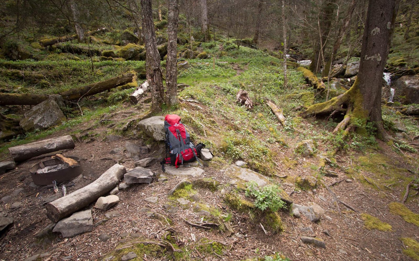 Teton 65L Signal backpack, durable and ready for hiking, camping or backpacking. Perfect lightweight travel bag with more room than you think, Terra customer photo 1