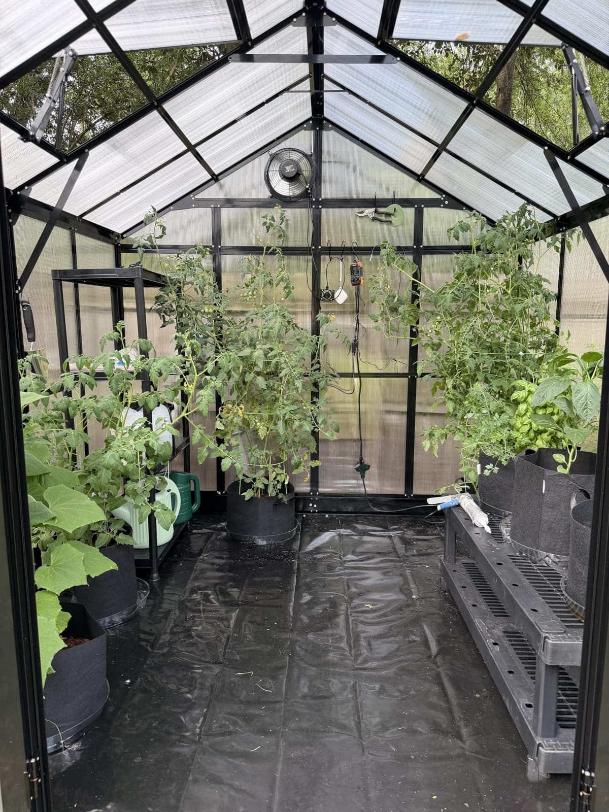 HOWE 8x8x7.5 FT Polycarbonate Greenhouse with Lockable Swing Door customer photo 2