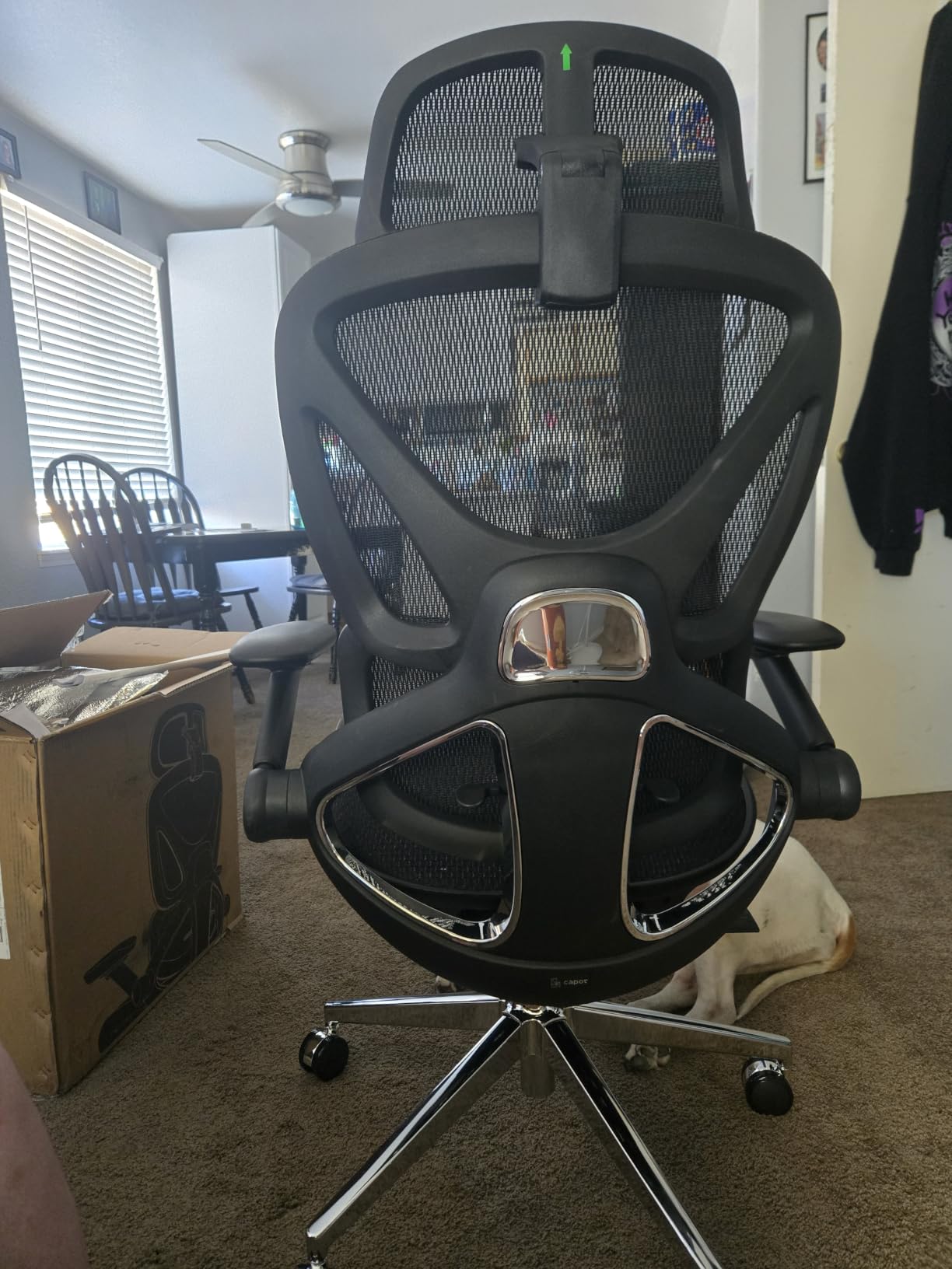 CAPOT Ergonomic Mesh Office Chair, Adjustable Lumbar High Back Desk Chair 400lbs, 4D Flip-up Arms, 3-Level Tilt Backrest, 3D Headrest, PU Wheels, Swivel Rolling Computer Seating for Long Desk Work customer photo 2