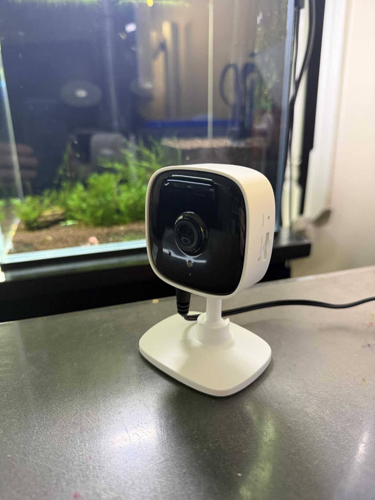 Tapo 1080P Indoor Security Camera, Baby Monitor, Dog Camera, C101 customer photo 2