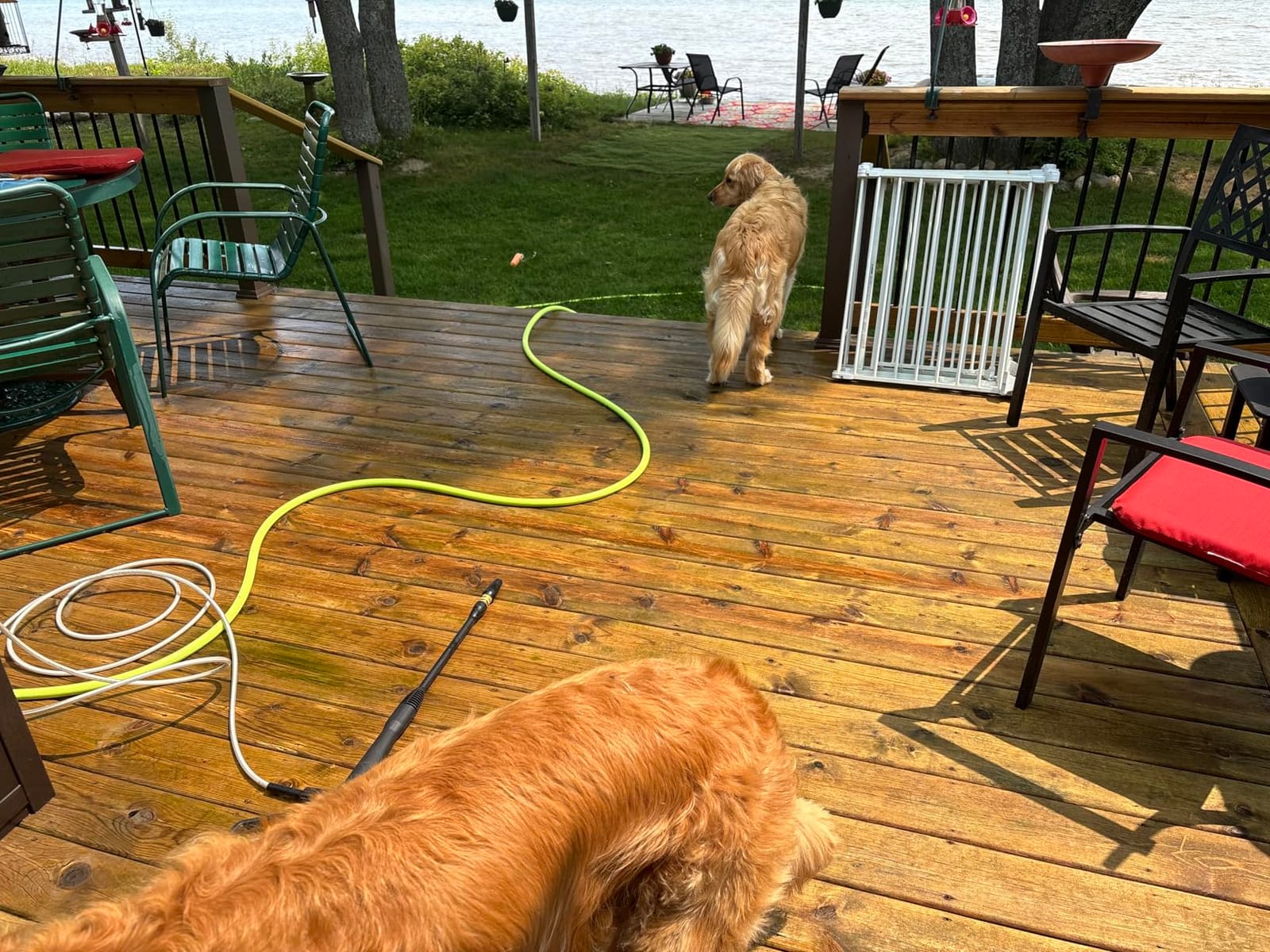 Greenworks 1900 PSI (1.2 GPM Max) Electric Pressure Washer customer photo 1