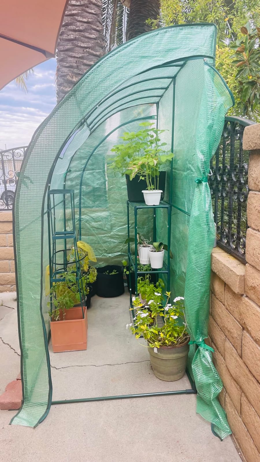 VEVOR Walk-in Tunnel Greenhouse, 9.6x6.4x6.2 ft Hoop House Greenhouse Tunnel, Plant Hot House with Galvanized Steel Frame, Green PE Cover, Roll-up Zipper Door and 6 Windows for Outdoor customer photo 1