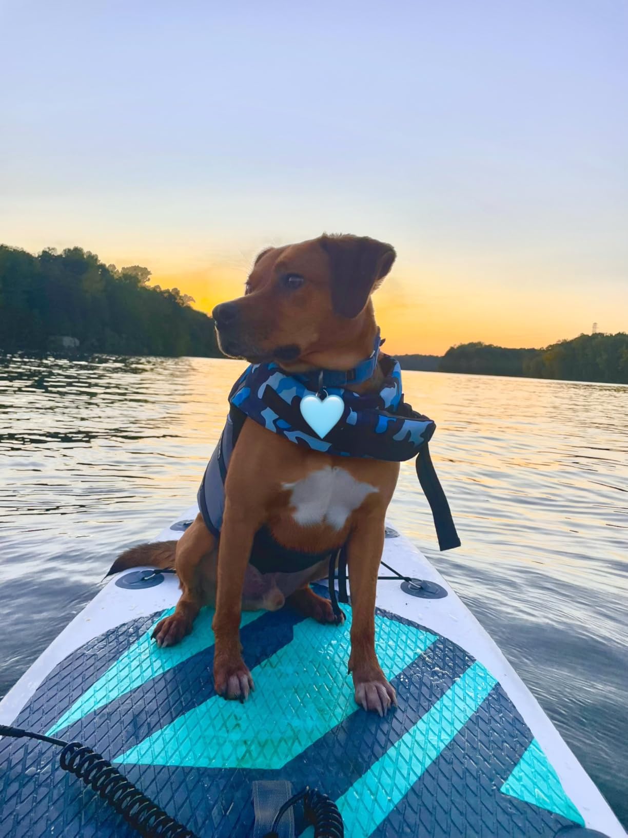 Aqua Plus 6inches Thick Inflatable SUP for All Skill Levels Stand Up Paddle Board,Paddle,Pump,ISUP Travel Backpack, Leash,Shoulder Strap,Youth,Adult Inflatable Paddle Board customer photo 2