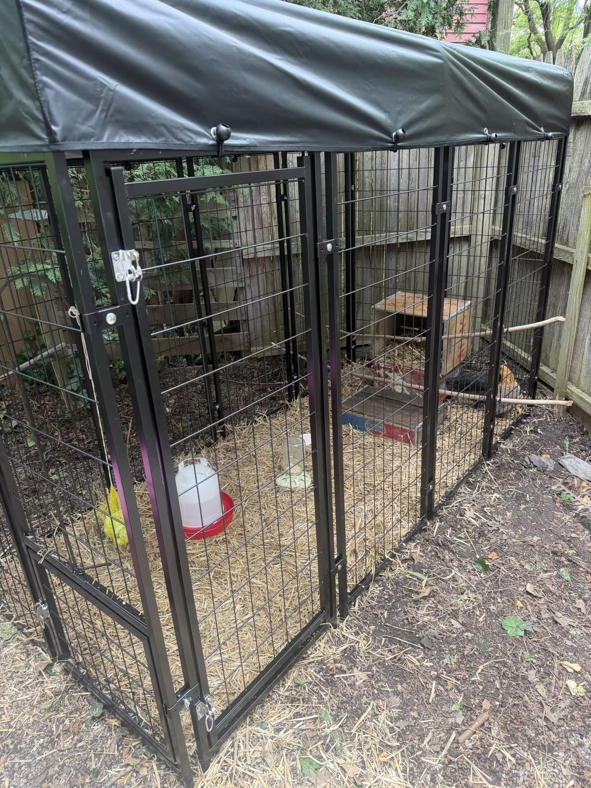 Dog Kennel Outdoor, Large Outside Dog Kennel with Roof & Swivel Feeders/Removable Doggy Door Allow Connecting Your Dog House, Heavy Duty Dog Run Pen for Medium/Large Dogs (8'L x 4'W x 6'H) customer photo 1