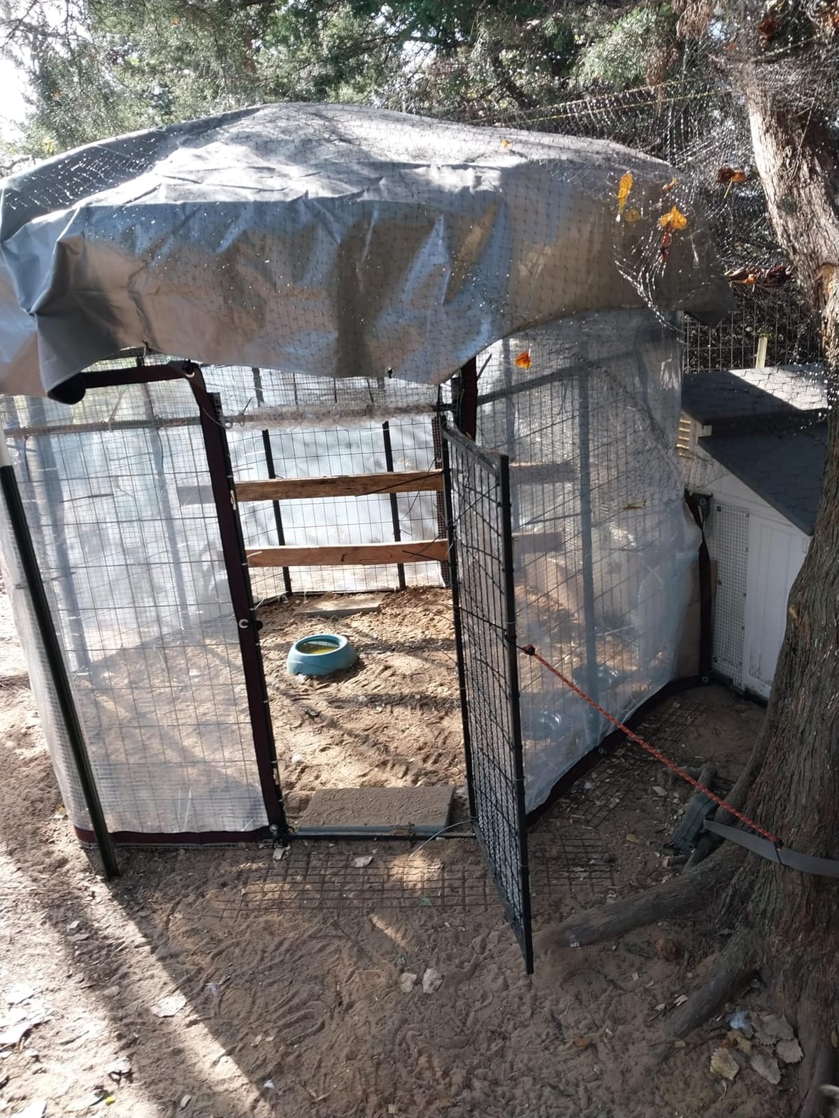 Dog Kennel Outdoor, Large Outside Dog Kennel with Roof & Swivel Feeders/Removable Doggy Door Allow Connecting Your Dog House, Heavy Duty Dog Run Pen for Medium/Large Dogs (8'L x 4'W x 6'H) customer photo 2