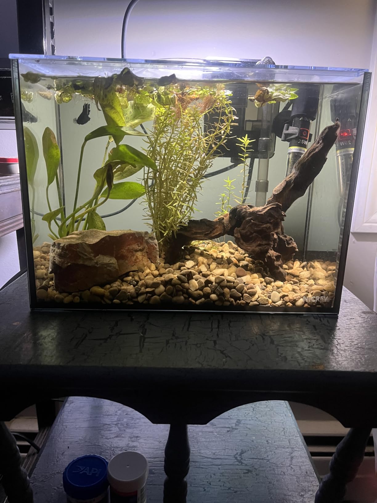 NICREW 2.5 Gallon Nano Nature Aquarium Kit Betta Fish Tank, Complete, Black customer photo 2