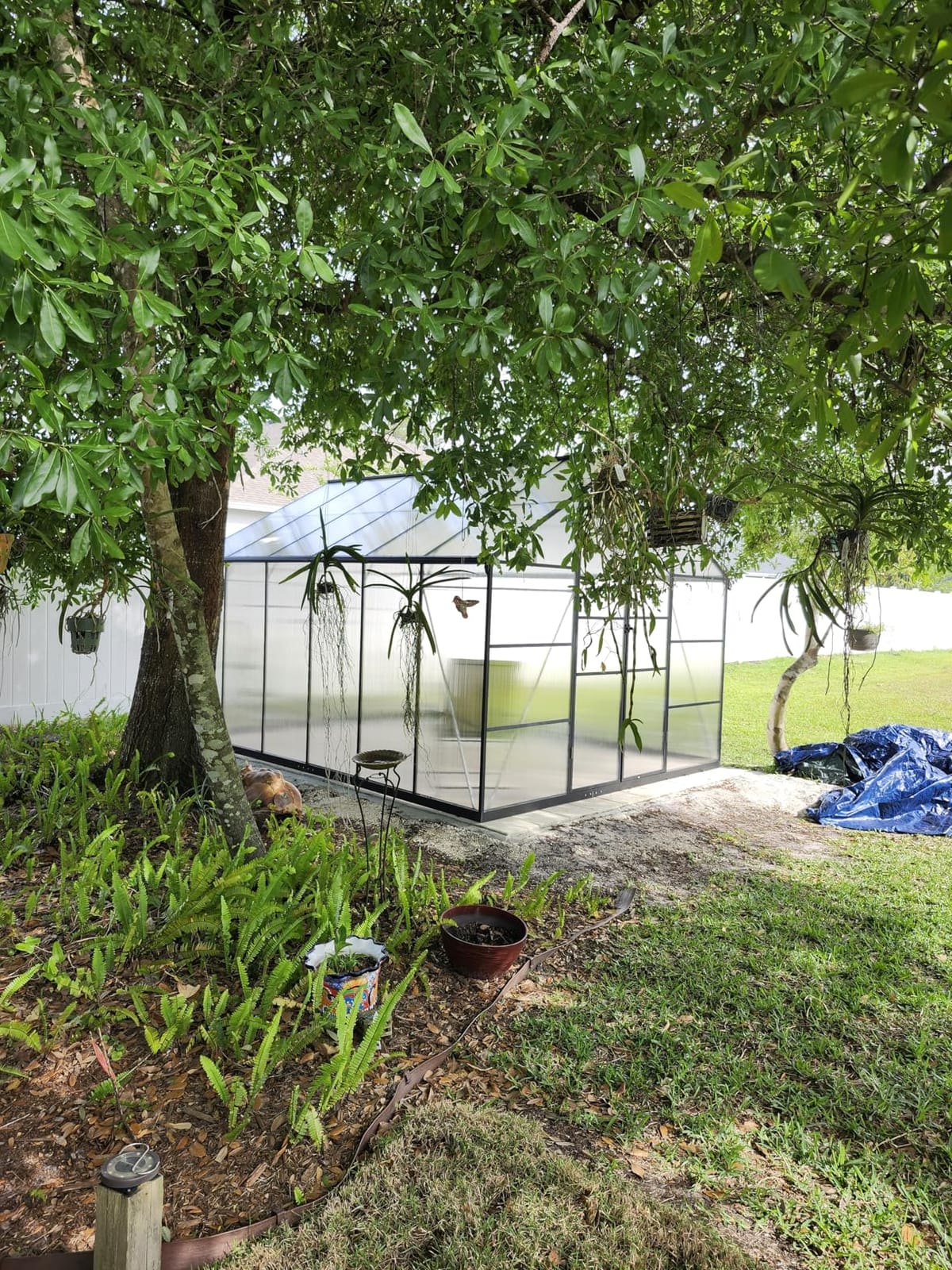 8X10FT Greenhouse with Thermometers, Large Aluminum Greenhouse for Outdoors customer photo 1