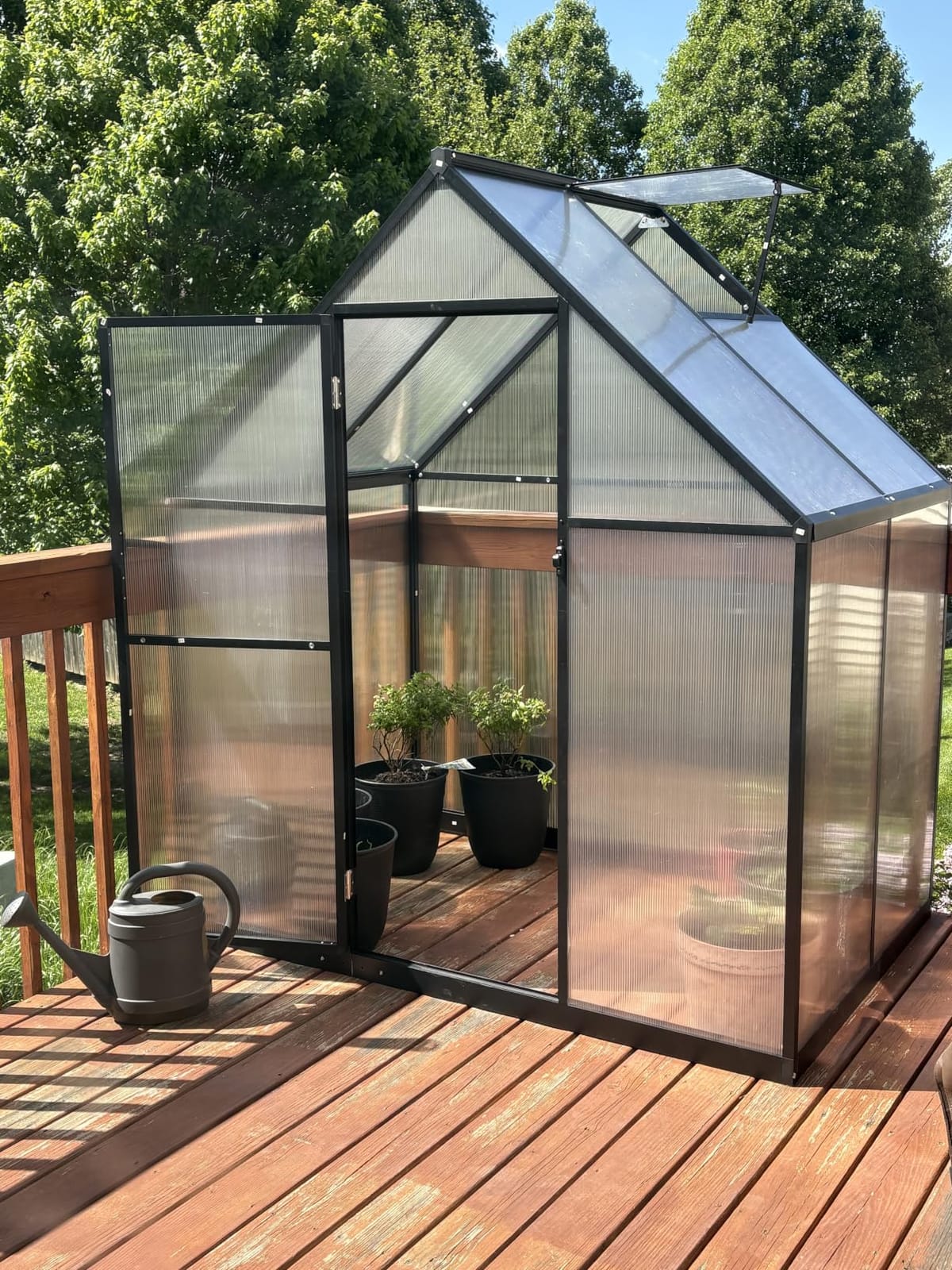 8X10FT Greenhouse with Thermometers, Large Aluminum Greenhouse for Outdoors customer photo 2