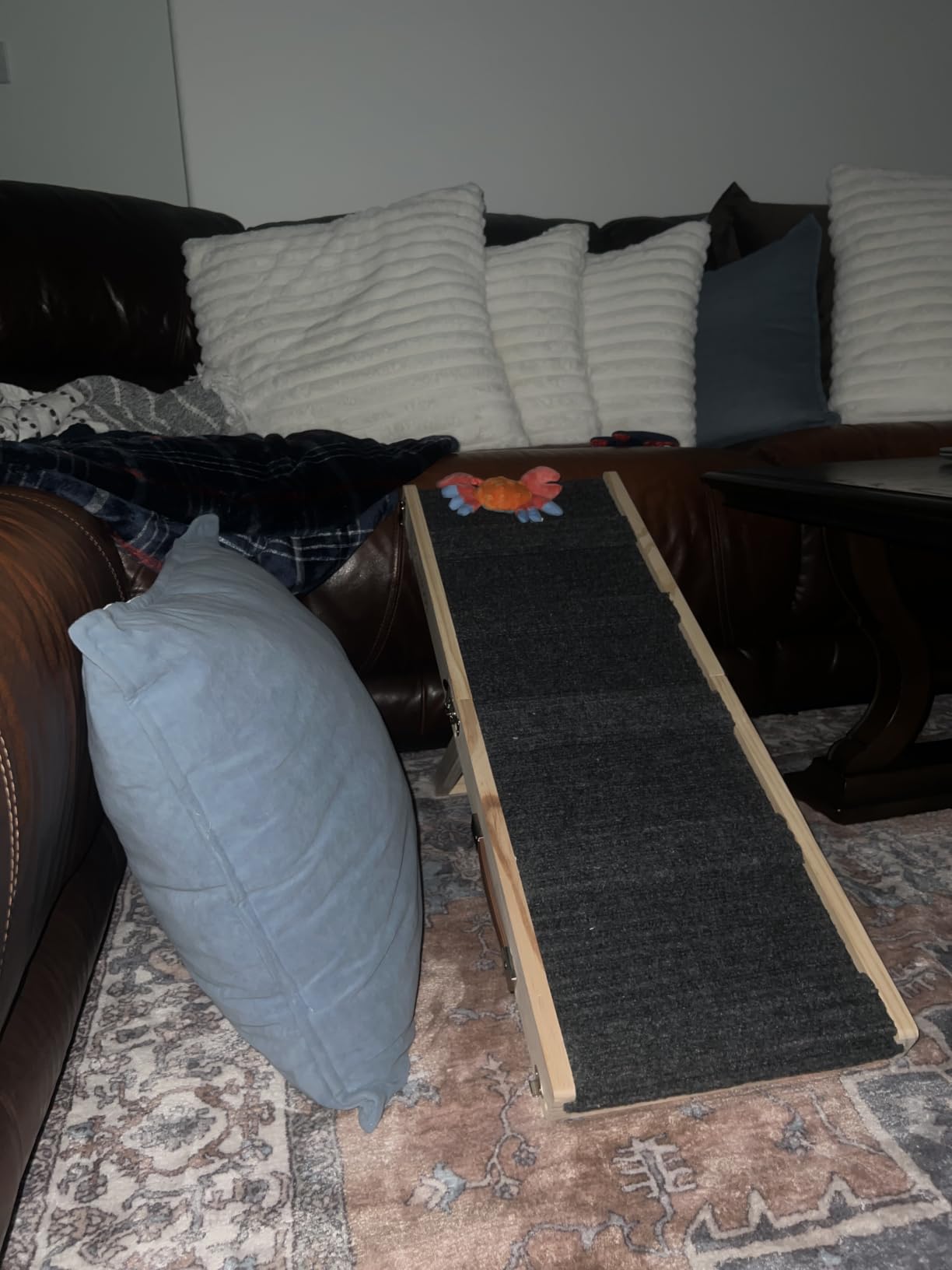 Pawaboo 2026 Upgraded Small Dog Ramp for Couch Foldable, 5 Ajustable Height customer photo 2