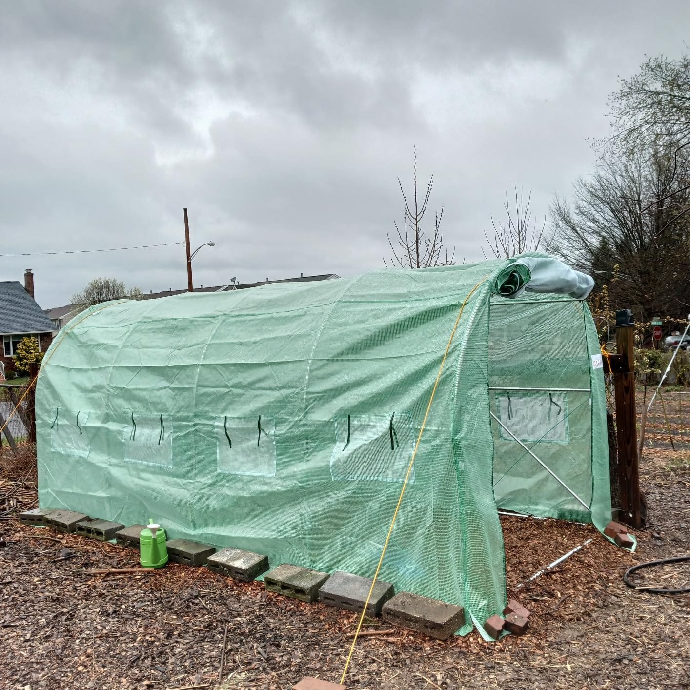 KING BIRD Premium 20x10x6.6FT Greenhouse for Outdoors Large Walk-in House customer photo 1