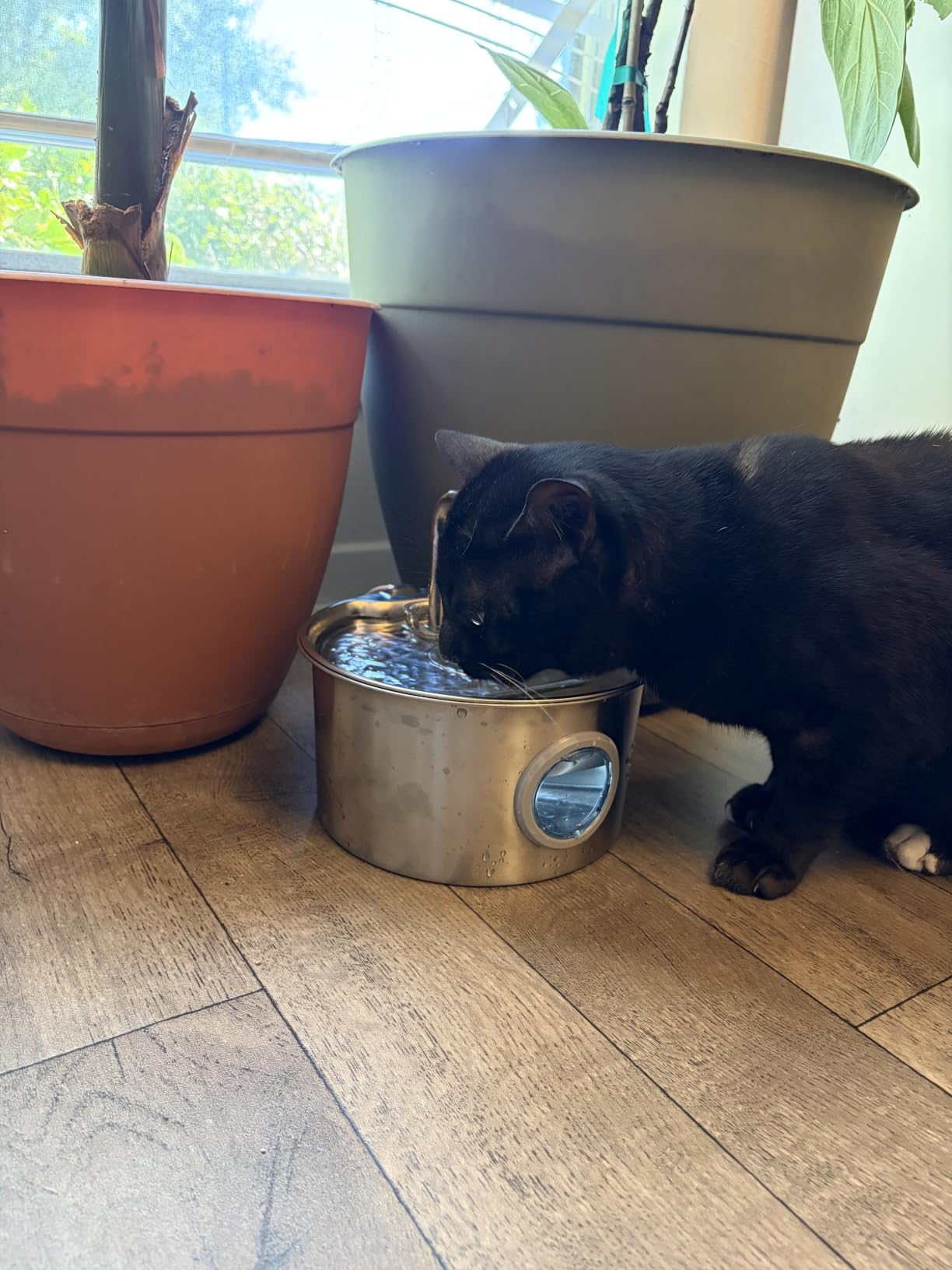 Stainless Steel Cat Water Fountain: Cat Fountain with 6 Filters + 3 Sponges customer photo 2