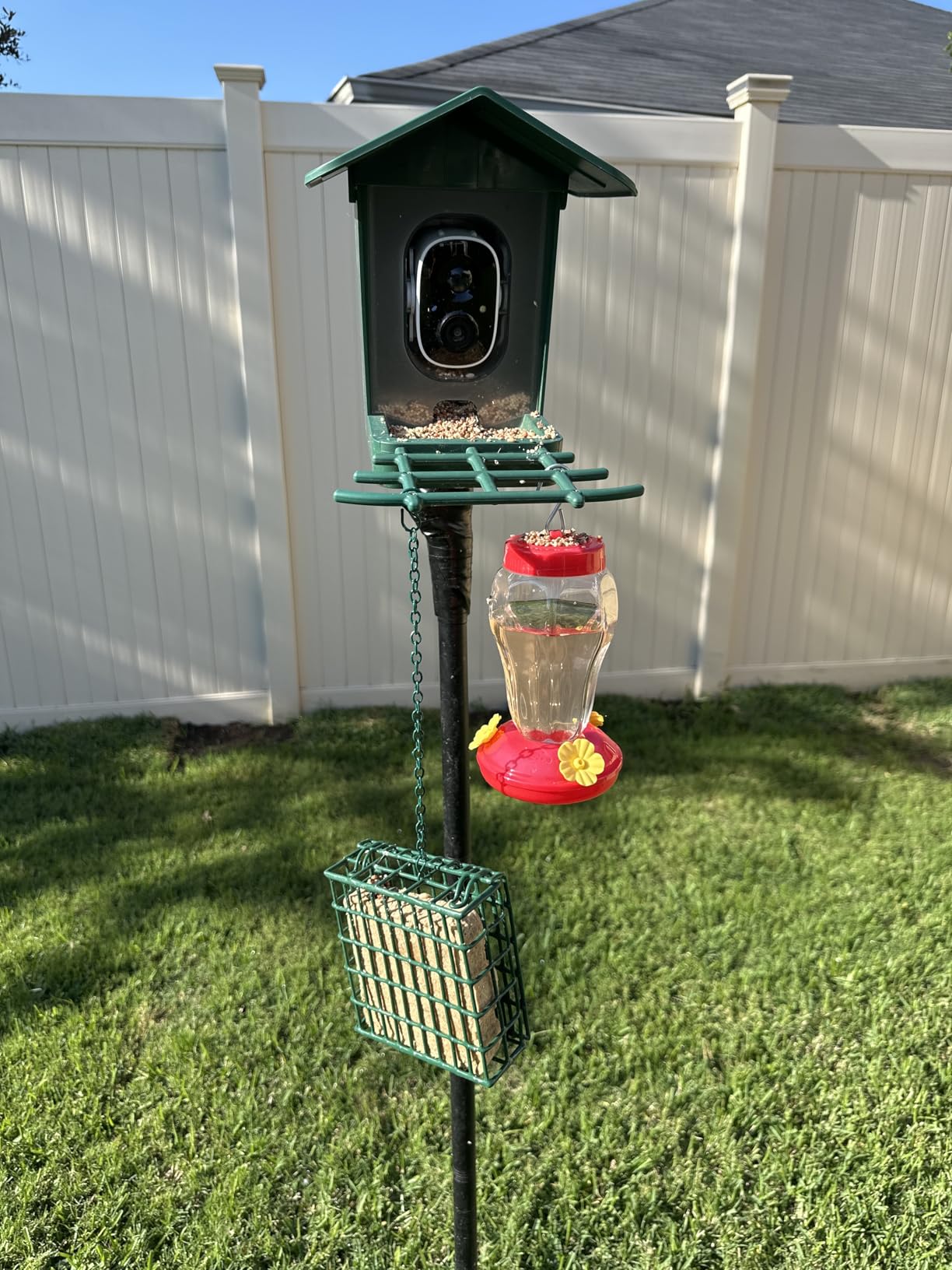 PeckCam® Bird Feeder with Camera Solar Powered 2K Live Video Auto Capture customer photo 2