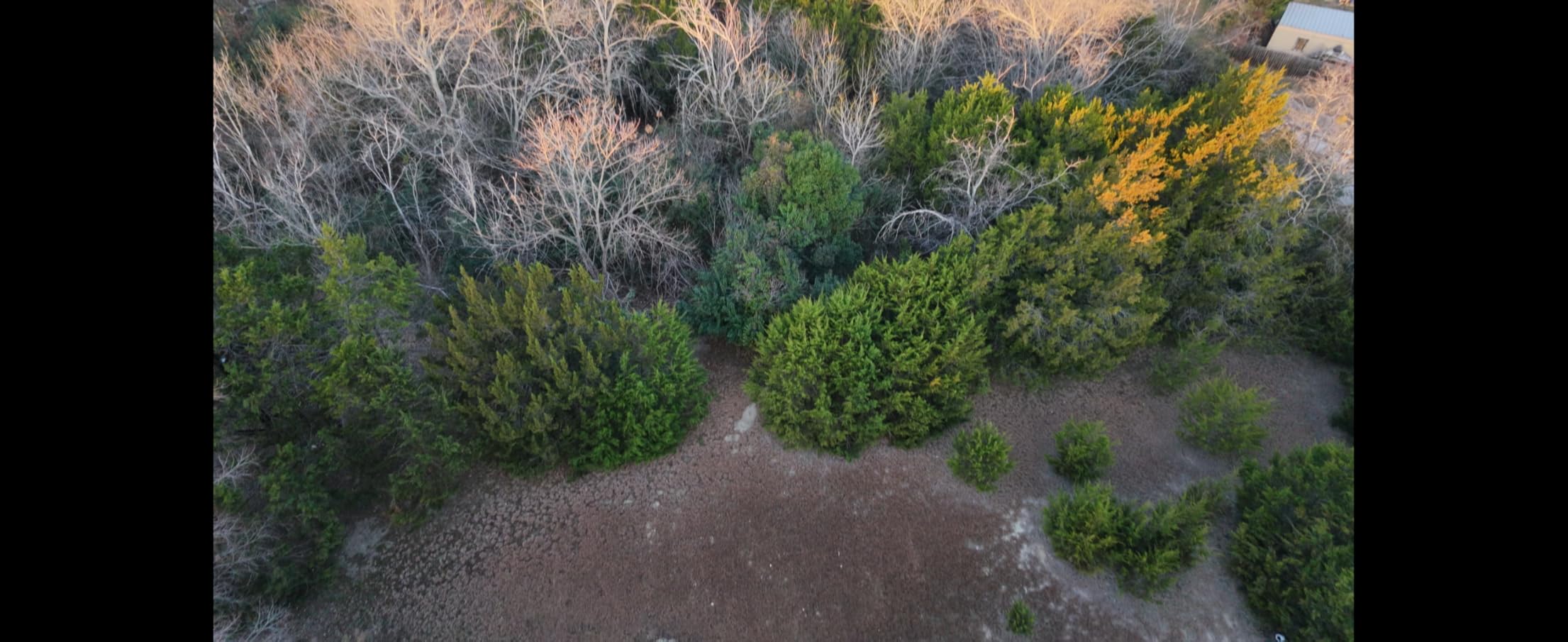 DJI Neo 2 (Drone Only), Lightweight 4K Drone With Camera customer photo 1