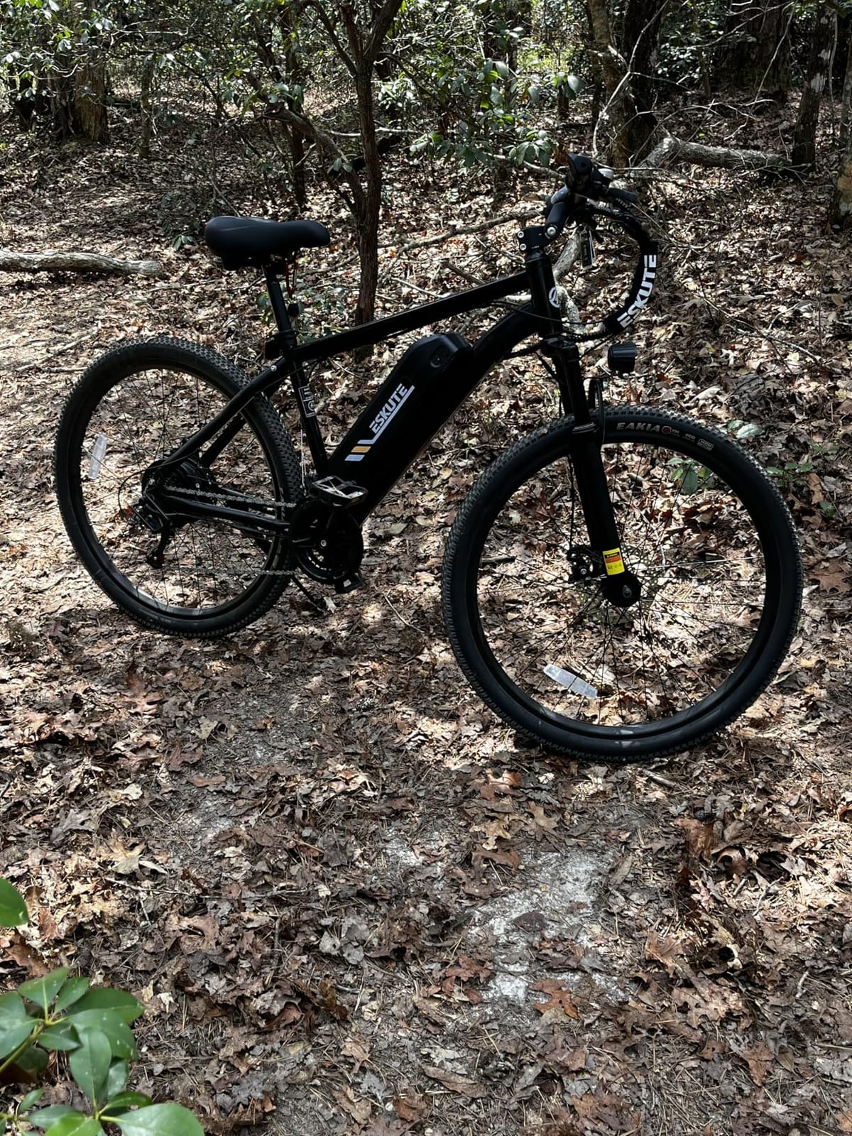 M200 Electric Bike for Adults – 21-Speed Gear 27.5