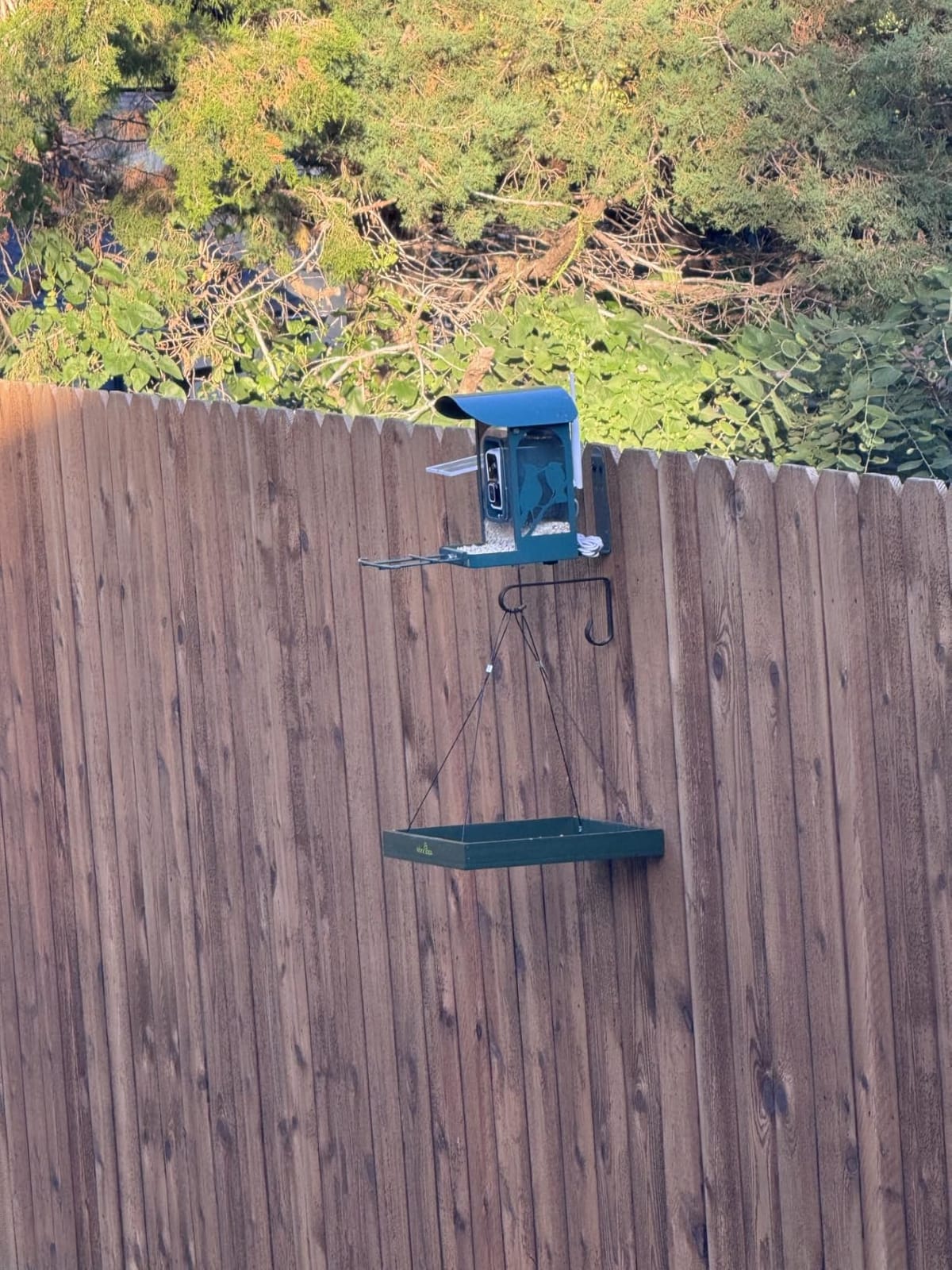 4K Smart Bird Feeder with Camera,No Subscription,Solar Powered customer photo 2