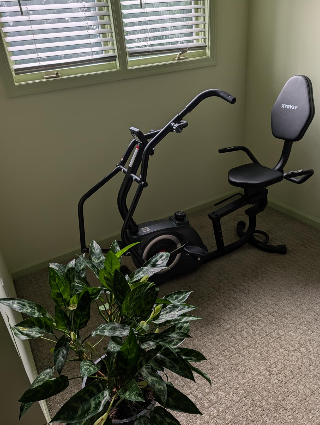 Recumbent Exercise Bike, Stationary Bike for Home with Arm Exercise customer photo 1