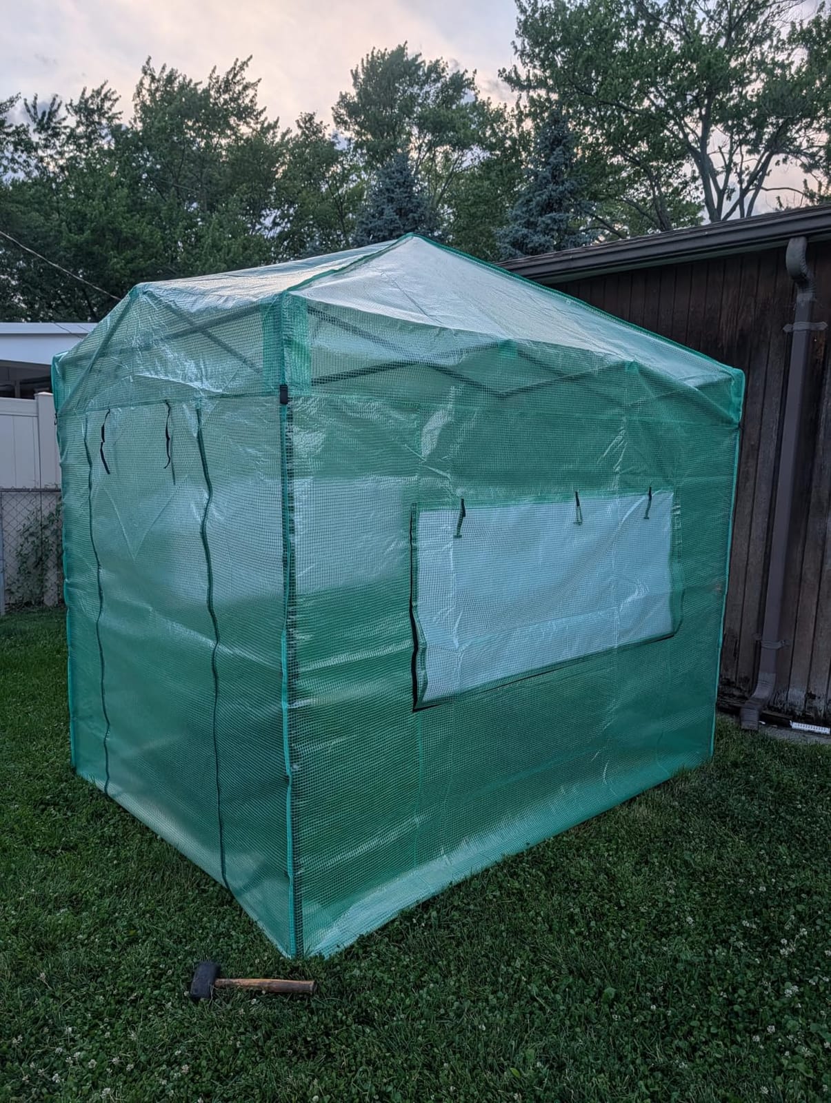 CROWN SHADES 8x6 Walk-in Pop-Up Greenhouse for Outdoors, Green customer photo 2