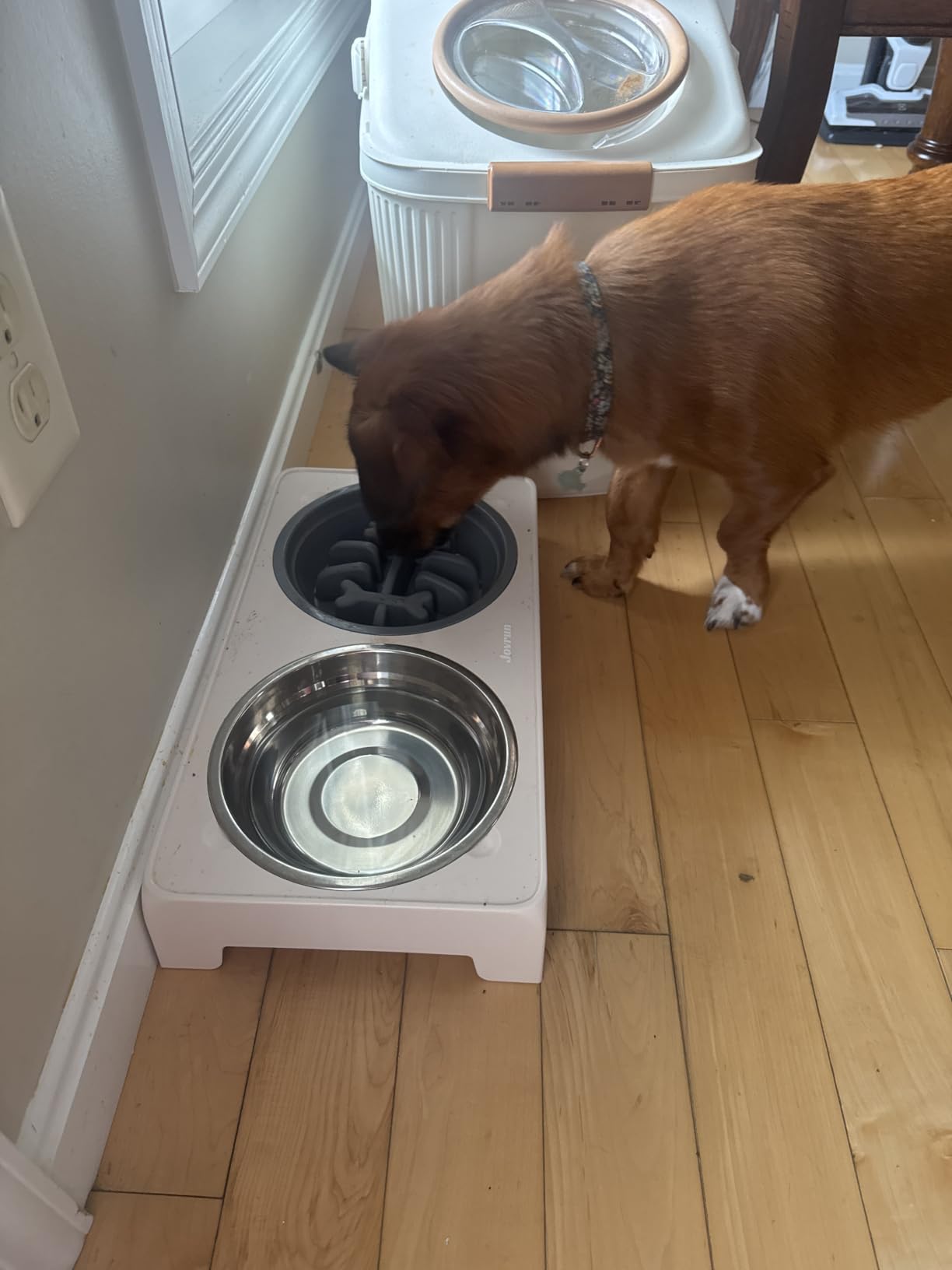 Jovrun Elevated Dog Bowls for Medium Large Size Dogs, Non-Slip Dog Feeder with 2 Stainless Steel Dishes, 5 Heights Adjustable Raised Bowls to 3.15″-8.66″-9.84″-11.02″-12.2″ customer photo 2