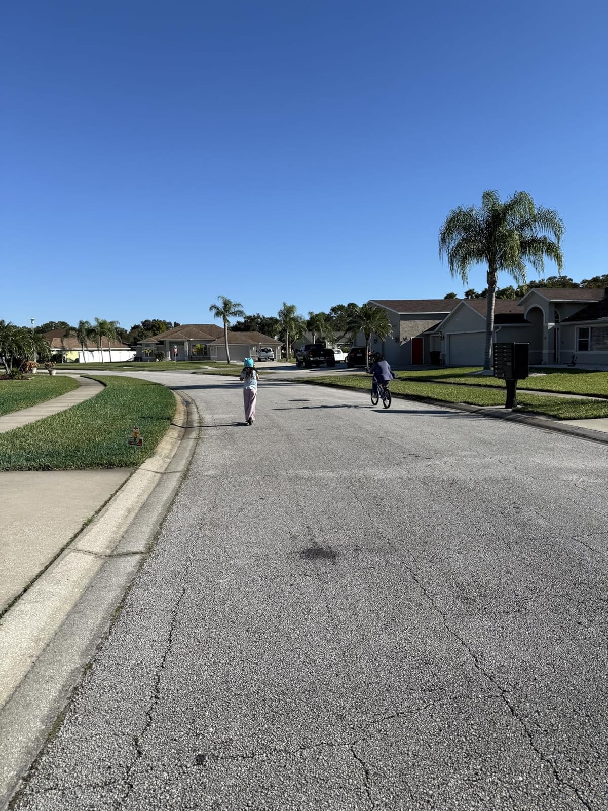VOLPAM Electric Scooter, 350W/500W Motor, 21/28/40 Miles Long Range customer photo 1