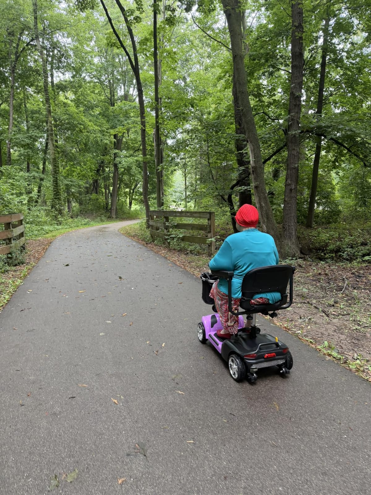 Light Weight Mobility Scooters for Seniors/Adults,Foldable Mobility Scooter customer photo 2