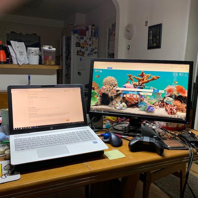 HP Essential Laptop 2026, Intel CPU, 128GB Storage, Office 365, Windows 11 customer photo 1