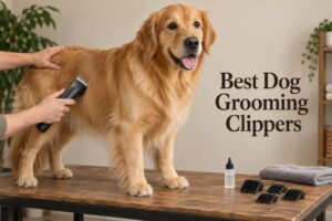Best Dog Grooming Clippers